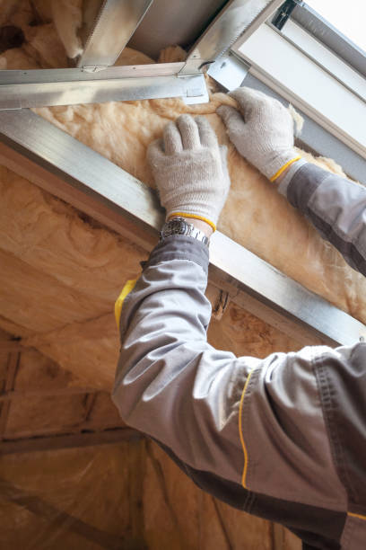 Best Residential Insulation in East Ithaca, NY