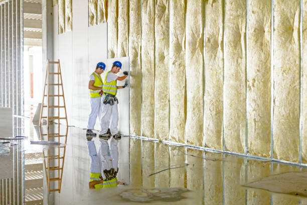 Best Cellulose Insulation in East Ithaca, NY